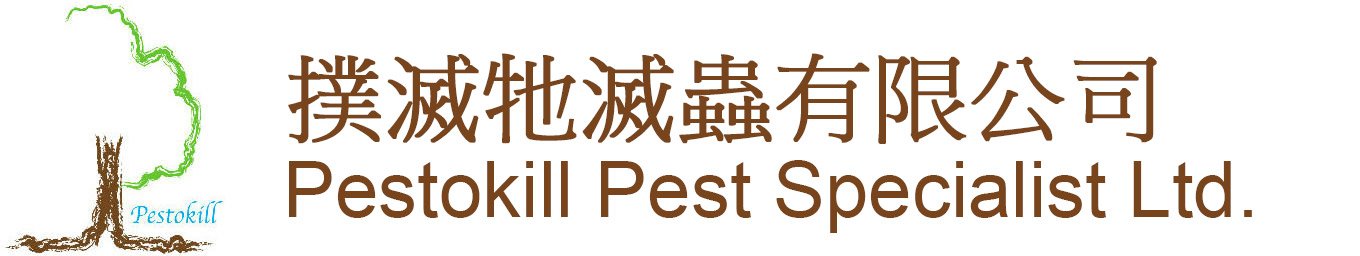 logo1